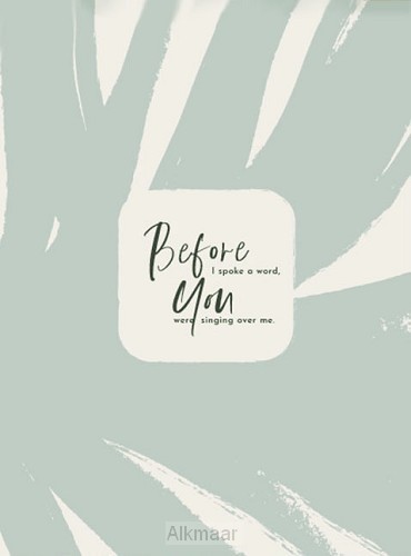 Before i spoke a word