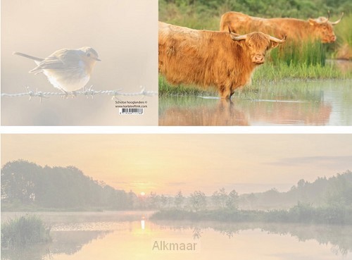 Panoramawenskaart schotse hooglanders