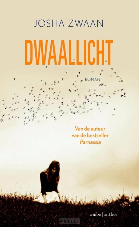 Dwaallicht