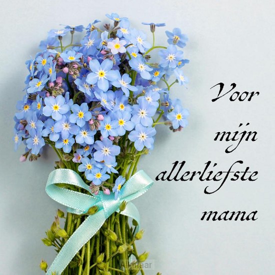 Voor mijn allerliefste mama  tamara