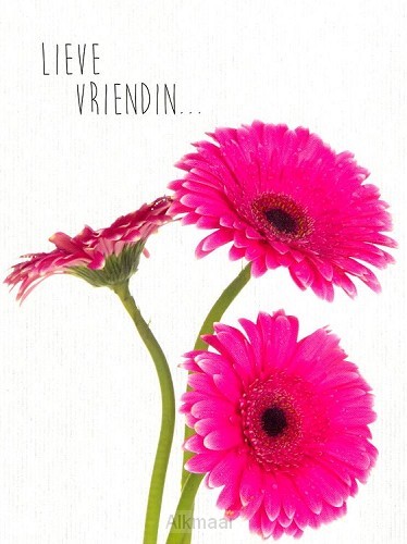 Kaart lieve vriendin