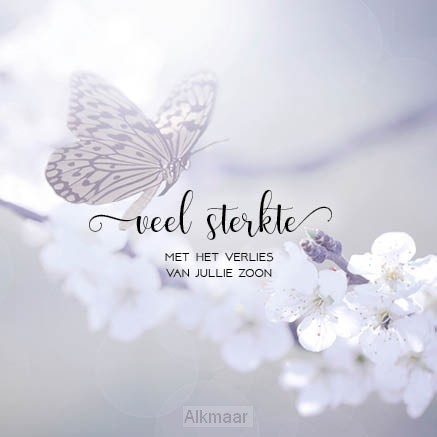 Kaart sterkte verlies zoon SV