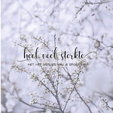 Kaart sterkte verlies broer SV