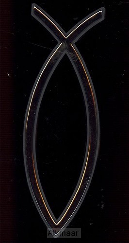 AUTO EMBLEEM 13CM ZILVER VIS