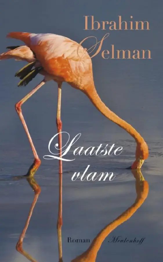 Laatste vlam