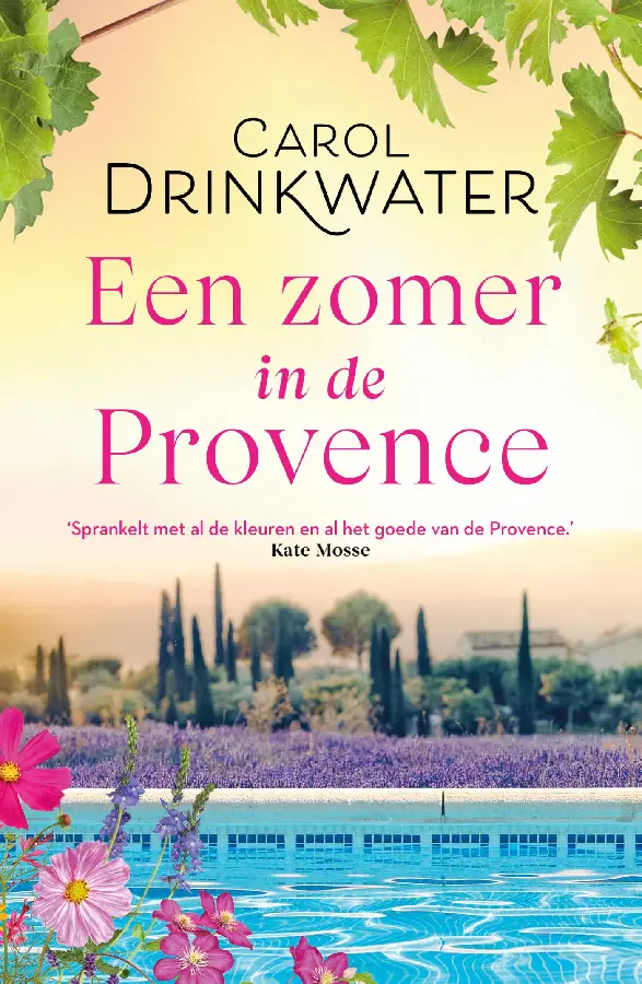 Een zomer in de provence