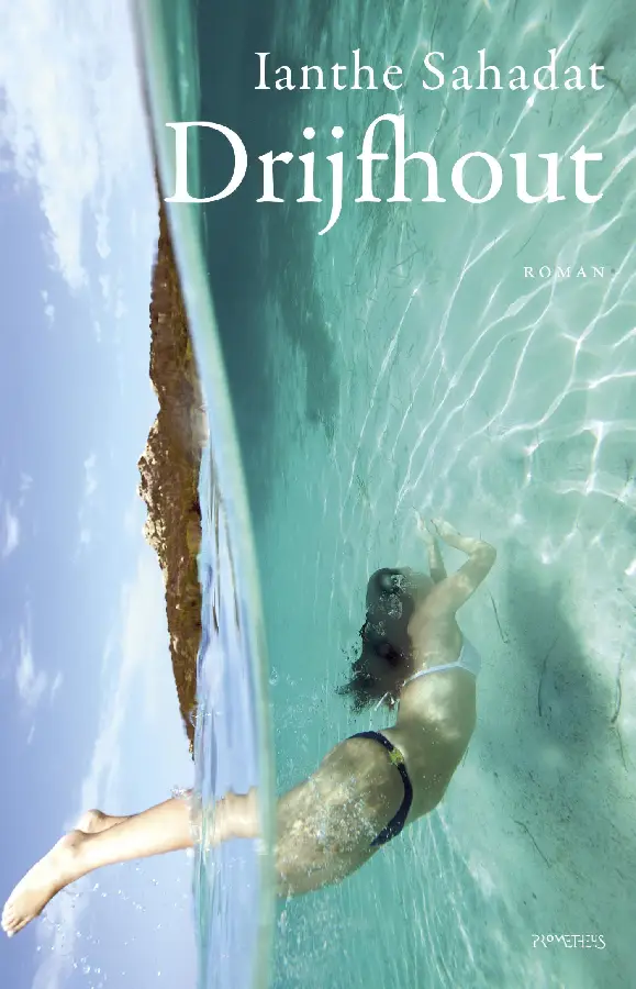 Drijfhout