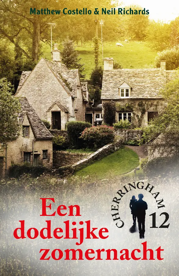 Een dodelijke zomernacht