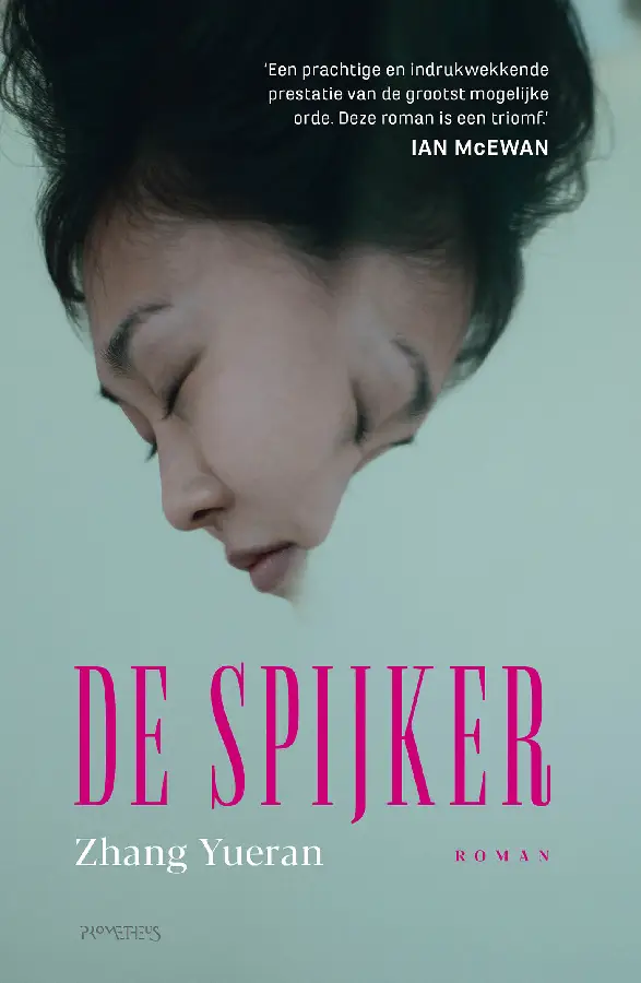 De spijker