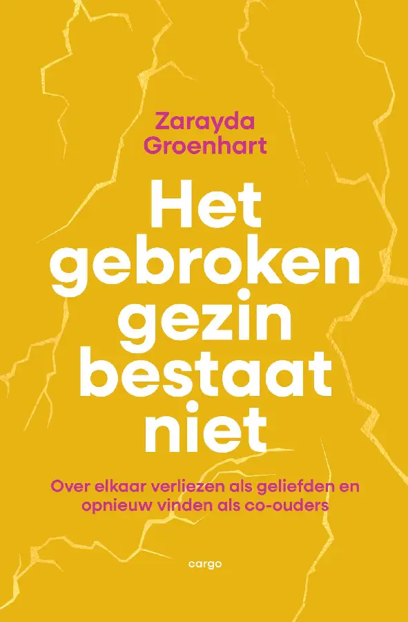 Het gebroken gezin bestaat niet