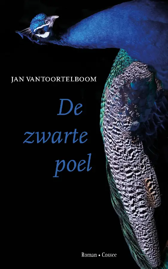 De zwarte poel