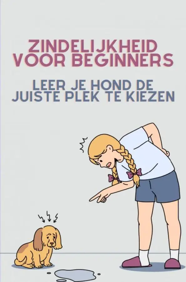 Zindelijkheid voor beginners