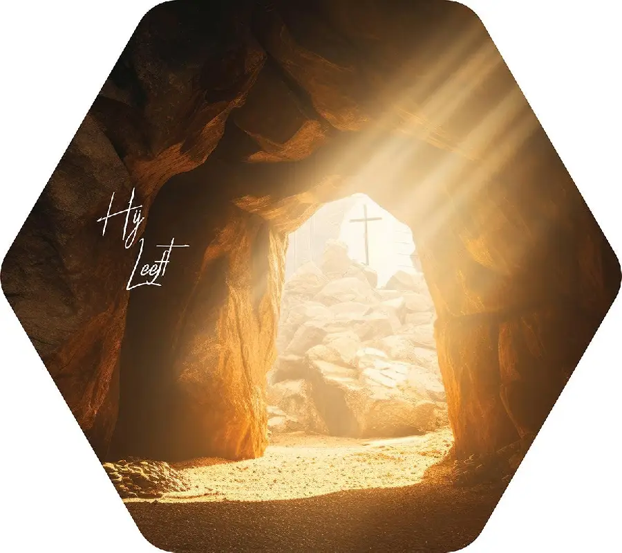 Honingraatbord L Hij leeft