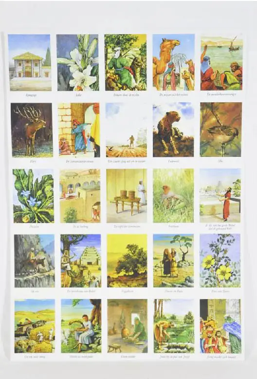 Beloningsplaatjes BM1 ree zwaluw enz