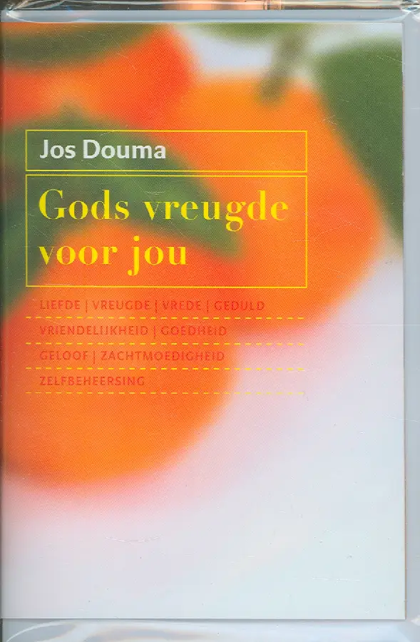 WENSBOEKJE GODS VREUGDE VOOR JOU