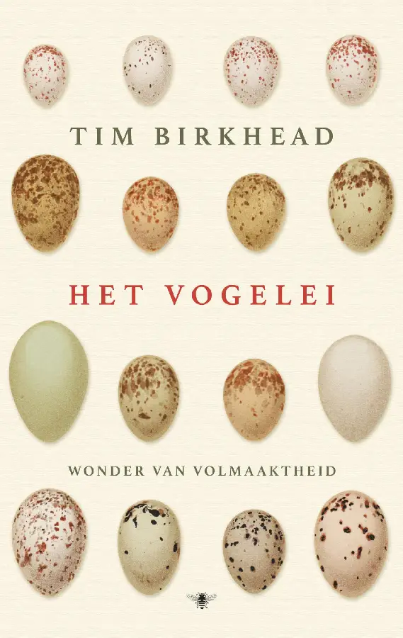 Het vogelei
