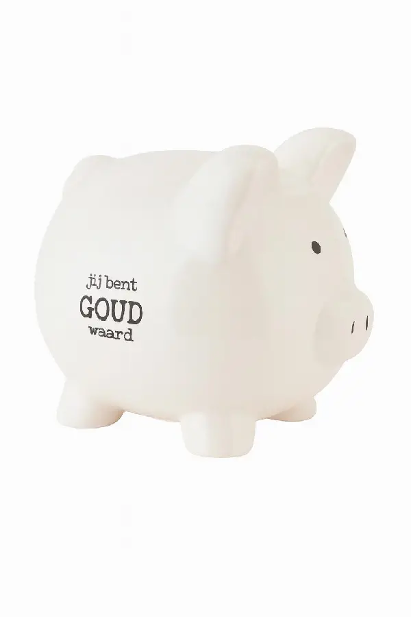 Spaarvarken groot Jij bent waardevol wit