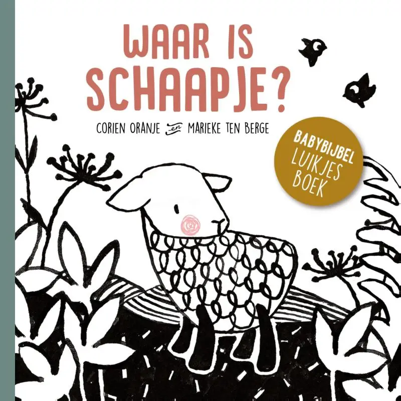 Waar is schaapje