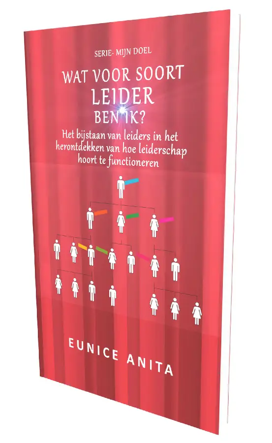 Wat voor type leider ben IK?