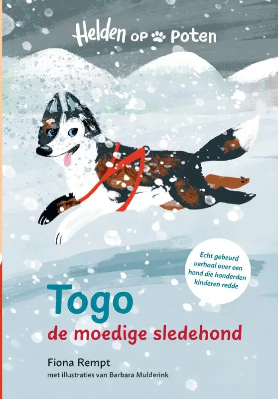 Togo de moedige sledehond
