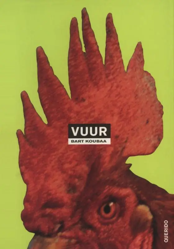 Vuur